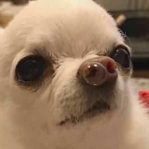 Meet your Posher, Alejandra